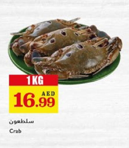 الأسماك الطازجة in تروليز سوبرماركت, UAE Offers - الإمارات العربية المتحدة available at تروليز سوبرماركت in الإمارات العربية المتحدة , الامارات - الشارقة / عجمان
