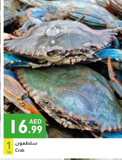 الأسماك الطازجة in إسطنبول سوبرماركت, UAE Offers - الإمارات العربية المتحدة available at إسطنبول سوبرماركت in الإمارات العربية المتحدة , الامارات - الشارقة / عجمان