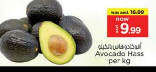 أفوكادو available at نستو هايبرماركت in الإمارات العربية المتحدة , الامارات - دبي