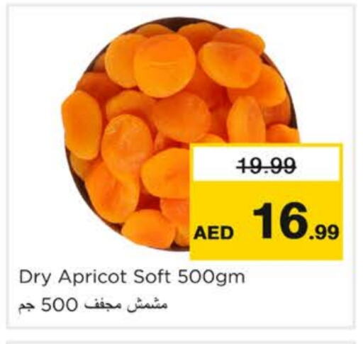 Dried Fruits & Dates in Nesto Hypermarket, UAE Offers - United Arab Emirates Apricot available at Nesto Hypermarket in UAE - Ras al Khaimah