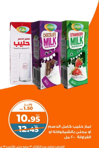 Milk & Laban in Kazyon , Egypt Offers - Egypt Flavoured Milk available at Kazyon in Egypt - Cairo