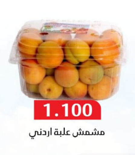 Dried Fruits & Dates in Al Masayel co-op , Kuwait Offers - Kuwait available at Al Masayel co-op in Kuwait - Jahra Governorate