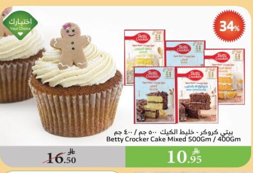 Flour & Baking Supplies in Al Raya, Saudi Arabia Offers - Saudi Arabia BETTY CROCKER available at Al Raya in KSA, Saudi Arabia, Saudi - Najran