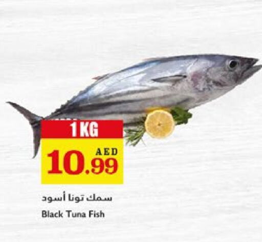 الأسماك الطازجة in تروليز سوبرماركت, UAE Offers - الإمارات العربية المتحدة تونة available at تروليز سوبرماركت in الإمارات العربية المتحدة , الامارات - الشارقة / عجمان