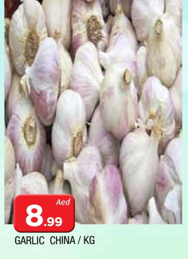 Garlic from China available at AL MADINA in UAE - Sharjah / Ajman