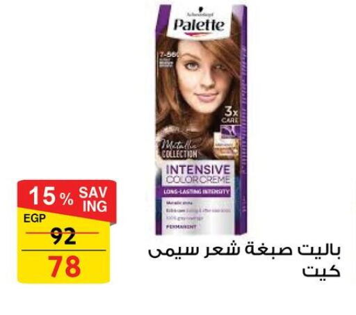 PALETTE Hair Colour available at Fathalla Market  in Egypt - Cairo