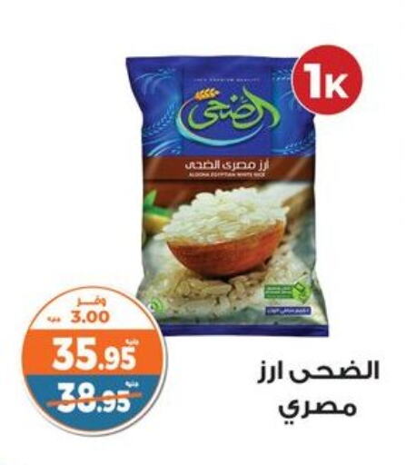 Calrose Rice available at Kazyon  in Egypt - Cairo