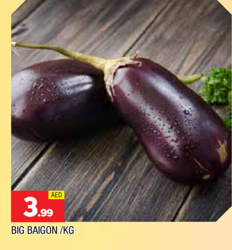 Fresh Vegetables in AL MADINA, UAE Offers - United Arab Emirates available at AL MADINA in UAE - Sharjah / Ajman