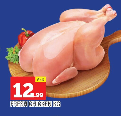 دجاج كامل طازج available at المدينة in الإمارات العربية المتحدة , الامارات - الشارقة / عجمان