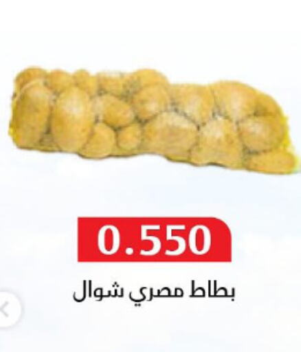Fresh Vegetables in Al Masayel co-op , Kuwait Offers - Kuwait available at Al Masayel co-op in Kuwait - Ahmadi Governorate