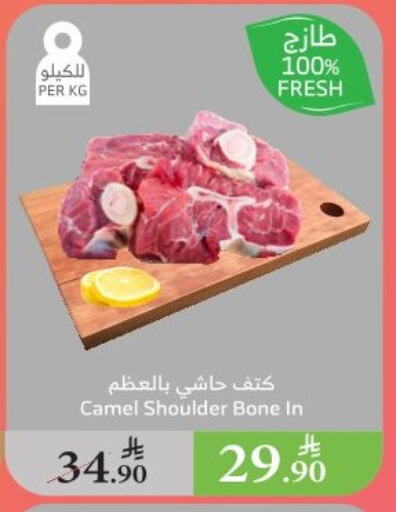 Meat - Fresh & Chilled in Al Raya, Saudi Arabia Offers - Saudi Arabia Camel meat available at Al Raya in KSA, Saudi Arabia, Saudi - Ta'if