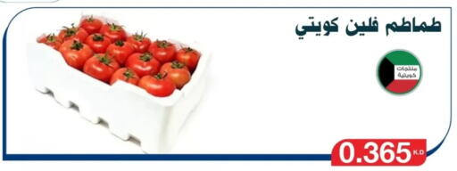 Tomato available at Al Yarmouk Cooperative Society in Kuwait - Kuwait City