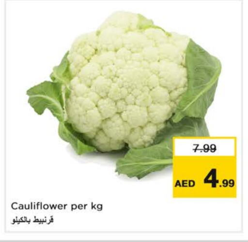 Cauliflower available at Nesto Hypermarket in UAE - Dubai