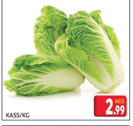 الخضروات الطازجة in مركز النخيل هايبرماركت, UAE Offers - الإمارات العربية المتحدة available at مركز النخيل هايبرماركت in الإمارات العربية المتحدة , الامارات - الشارقة / عجمان