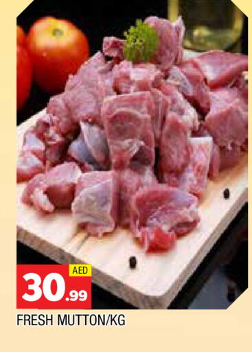 لحم الضأن / الغنم available at المدينة in الإمارات العربية المتحدة , الامارات - الشارقة / عجمان
