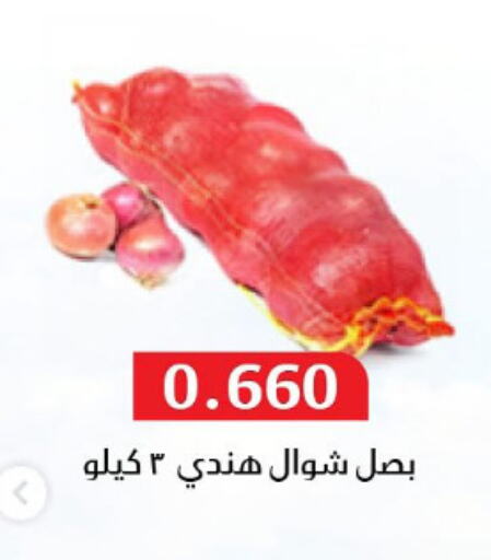 Fresh Vegetables in Al Masayel co-op , Kuwait Offers - Kuwait Onion available at Al Masayel co-op in Kuwait - Ahmadi Governorate