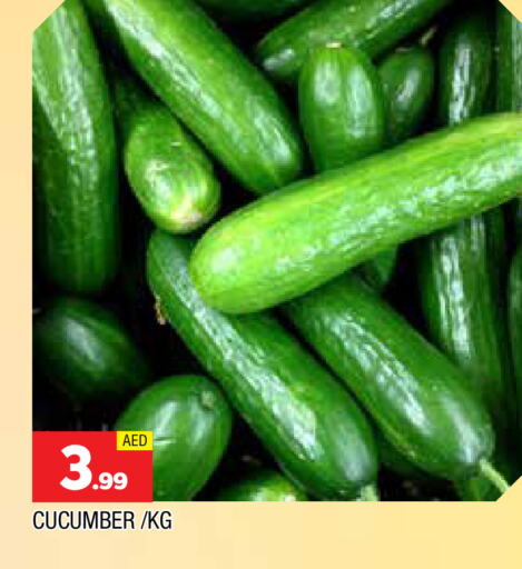 خيار available at المدينة in الإمارات العربية المتحدة , الامارات - الشارقة / عجمان