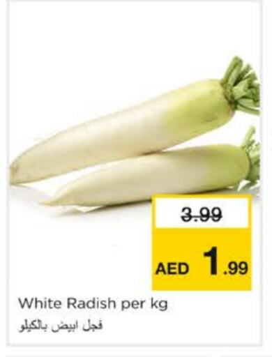 فجل available at نستو هايبرماركت in الإمارات العربية المتحدة , الامارات - الشارقة / عجمان