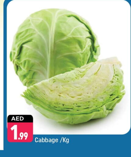 Fresh Vegetables in Shaklan , UAE Offers - United Arab Emirates Cabbage available at Shaklan in UAE - Dubai