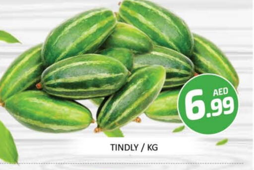 Fresh Vegetables in Mango Hypermarket LLC, UAE Offers - United Arab Emirates Mango available at Mango Hypermarket LLC in UAE - Dubai