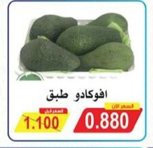 فاكهة طازجة in جمعية سلوى التعاونية, الكويت Offers - الكويت أفوكادو available at جمعية سلوى التعاونية in الكويت - محافظة الأحمدي