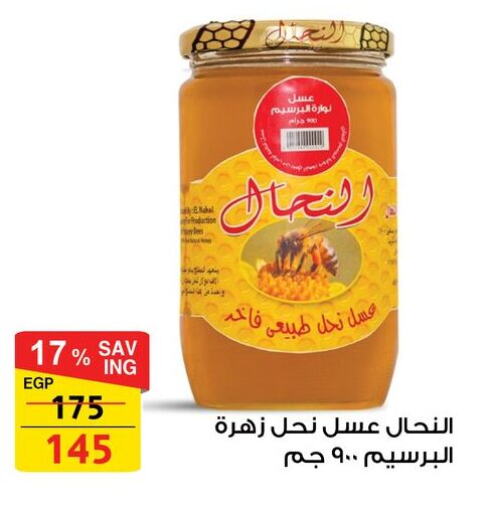 Sauces & Spreads in Fathalla Market , Egypt Offers - Egypt Honey available at Fathalla Market in Egypt - Cairo