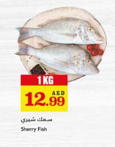 available at تروليز سوبرماركت in الإمارات العربية المتحدة , الامارات - الشارقة / عجمان