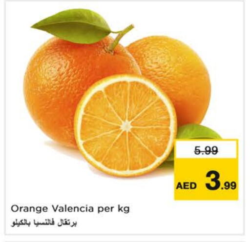 برتقال available at نستو هايبرماركت in الإمارات العربية المتحدة , الامارات - دبي