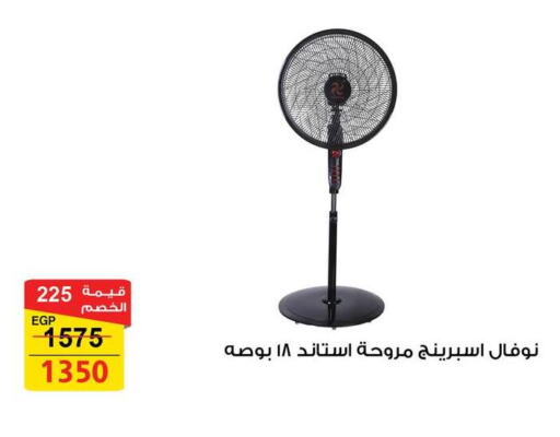 Small Appliances in Fathalla Market , Egypt Offers - Egypt Fan available at Fathalla Market in Egypt - Cairo