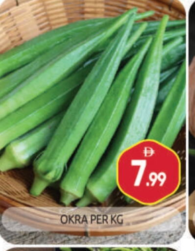 Fresh Vegetables in BIGmart, UAE Offers - United Arab Emirates Okra available at BIGmart in UAE - Abu Dhabi