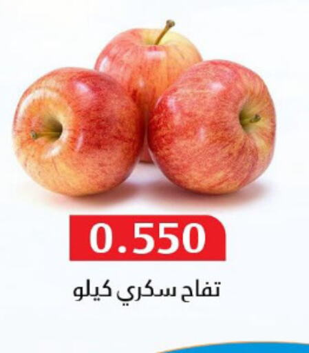 فاكهة طازجة in جمعية المسايل التعاونية, الكويت Offers - الكويت تفاح available at جمعية المسايل التعاونية in الكويت - محافظة الأحمدي