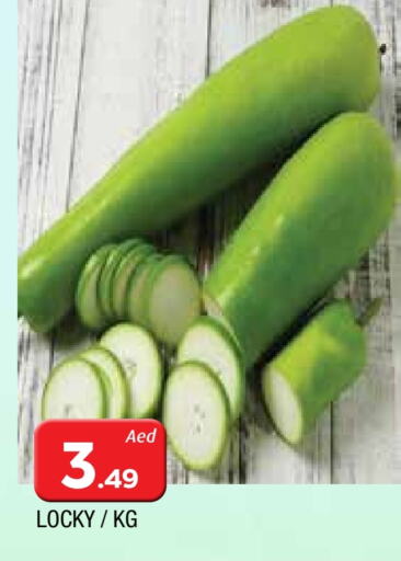 Fresh Vegetables in AL MADINA, UAE Offers - United Arab Emirates available at AL MADINA in UAE - Sharjah / Ajman
