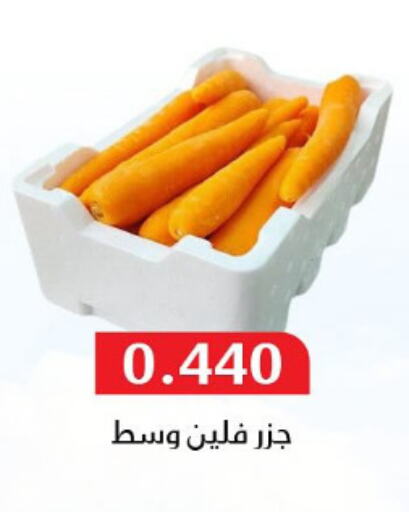 Fresh Vegetables in Al Masayel co-op , Kuwait Offers - Kuwait Carrot available at Al Masayel co-op in Kuwait - Ahmadi Governorate