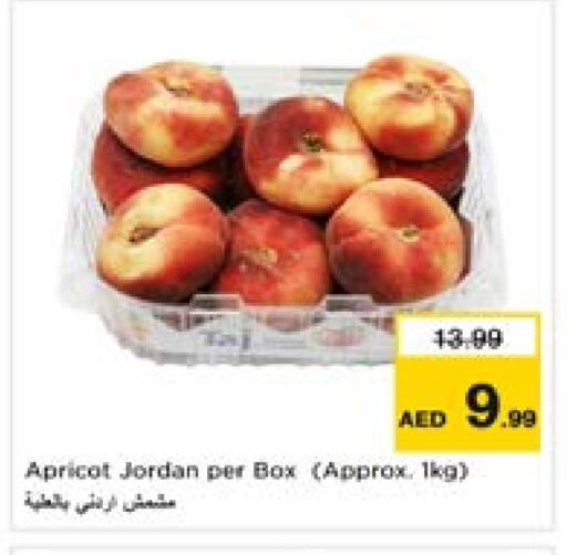 Dried Fruits & Dates in Last Chance , UAE Offers - United Arab Emirates Apricot available at Last Chance in UAE - Fujairah