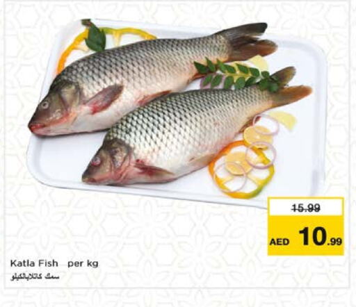 available at نستو هايبرماركت in الإمارات العربية المتحدة , الامارات - الشارقة / عجمان