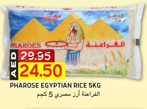 Calrose Rice available at Select Market in UAE - Abu Dhabi