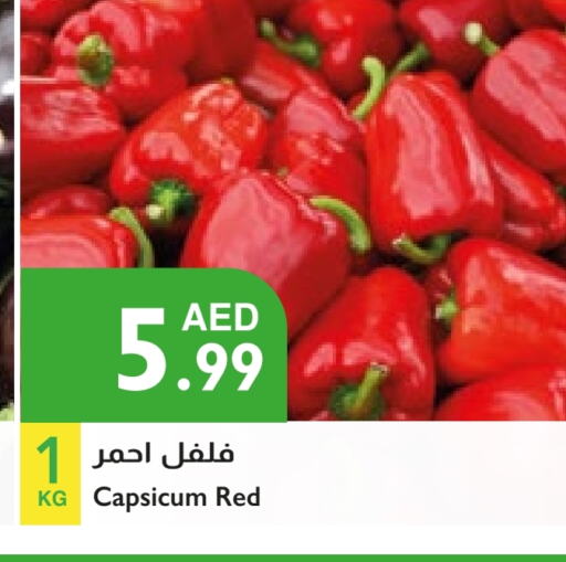 Chilli / Capsicum available at Istanbul Supermarket in UAE - Al Ain