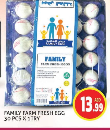 available at Palm Centre LLC in UAE - Sharjah / Ajman