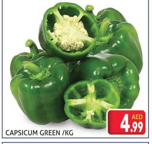 الخضروات الطازجة in مركز النخيل هايبرماركت, UAE Offers - الإمارات العربية المتحدة فلفل / فليفلة available at مركز النخيل هايبرماركت in الإمارات العربية المتحدة , الامارات - الشارقة / عجمان