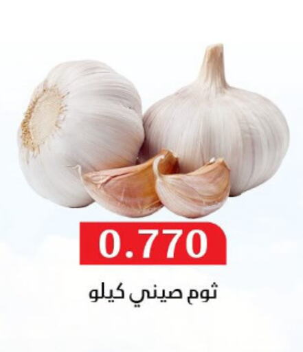 Garlic available at Al Masayel co-op  in Kuwait - Ahmadi Governorate