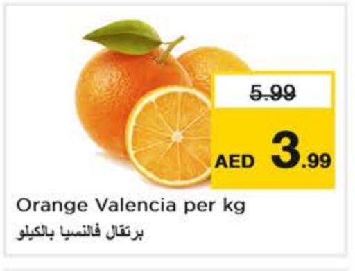 Fresh Fruits in Nesto Hypermarket, UAE Offers - United Arab Emirates Orange available at Nesto Hypermarket in UAE - Abu Dhabi