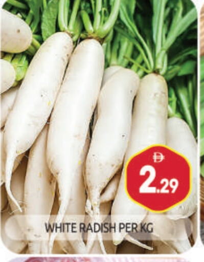 Fresh Vegetables in BIGmart, UAE Offers - United Arab Emirates Radish available at BIGmart in UAE - Abu Dhabi
