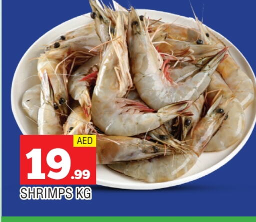 الأسماك الطازجة in المدينة, UAE Offers - الإمارات العربية المتحدة available at المدينة in الإمارات العربية المتحدة , الامارات - الشارقة / عجمان