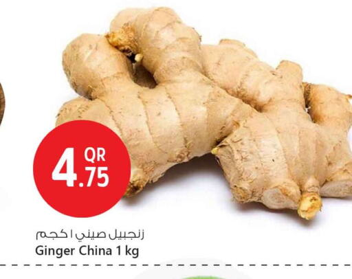 زنجبيل from China available at سفاري هايبر ماركت in قطر - أم صلال