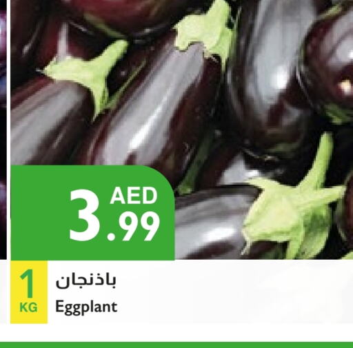 الخضروات الطازجة in إسطنبول سوبرماركت, UAE Offers - الإمارات العربية المتحدة Eggplant available at إسطنبول سوبرماركت in الإمارات العربية المتحدة , الامارات - الشارقة / عجمان