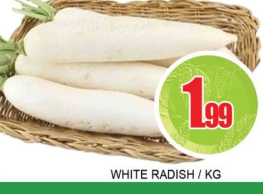 الخضروات الطازجة in لكي سنتر, UAE Offers - الإمارات العربية المتحدة فجل available at لكي سنتر in الإمارات العربية المتحدة , الامارات - الشارقة / عجمان