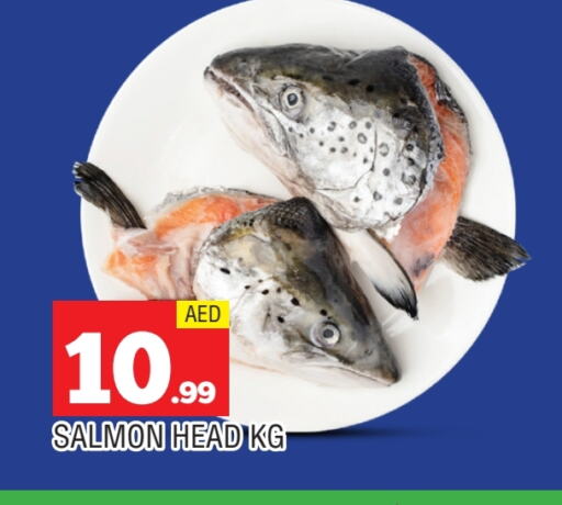 الأسماك الطازجة in المدينة, UAE Offers - الإمارات العربية المتحدة available at المدينة in الإمارات العربية المتحدة , الامارات - الشارقة / عجمان