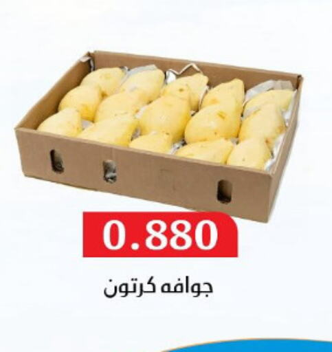 Fresh Fruits in Al Masayel co-op , Kuwait Offers - Kuwait Guava available at Al Masayel co-op in Kuwait - Ahmadi Governorate