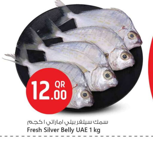 available at سفاري هايبر ماركت in قطر - أم صلال