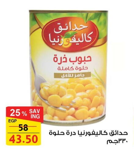 Canned & Packeted in Fathalla Market , Egypt Offers - Egypt CALIFORNIA GARDEN available at Fathalla Market in Egypt - Cairo